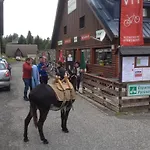 Le Tuc De L'etang
